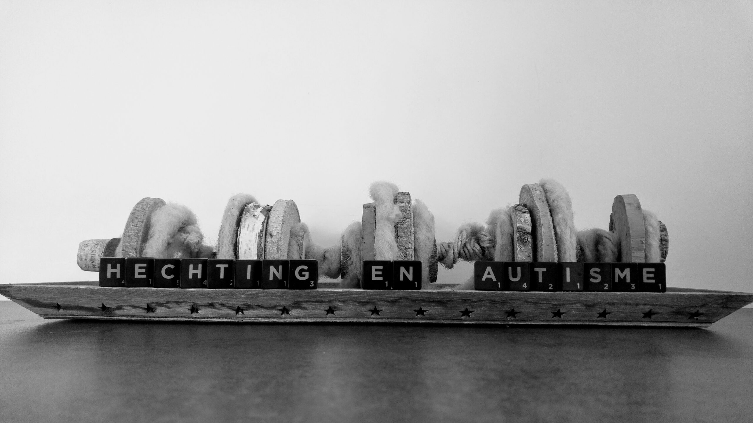 Hechting en Autisme